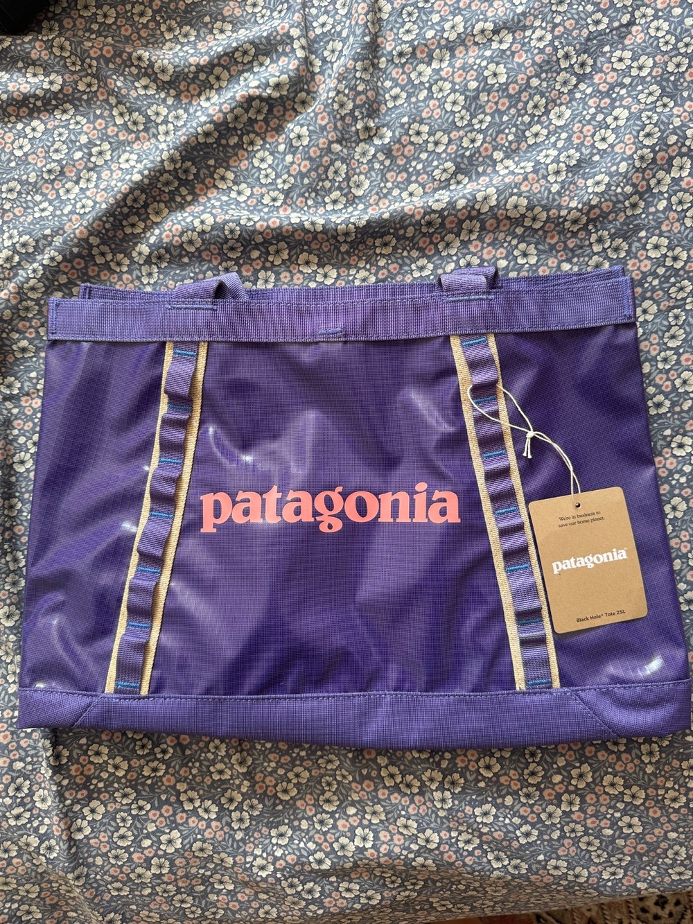 PATAGONIA 25L black hole tote